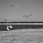 Parco vacanze Klif